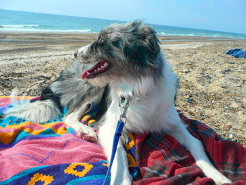 kira_am_strand
