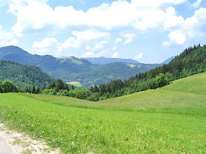 Berge und Almen in Österreich